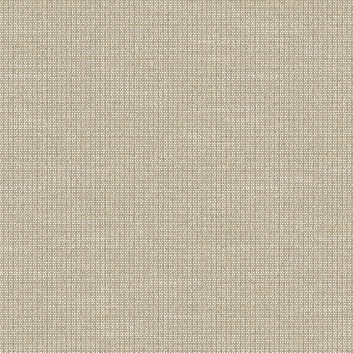 Everyday Sand
