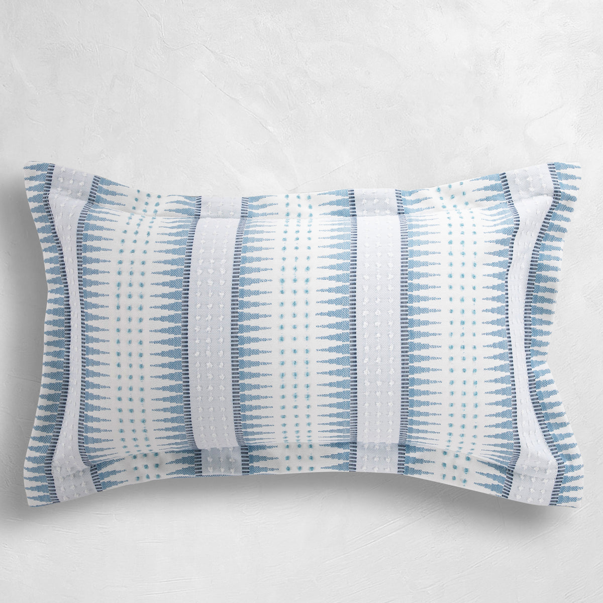blue-wj-100527