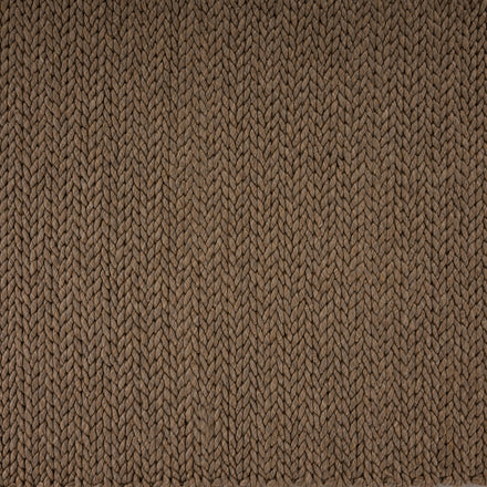 coconut-wj-100445