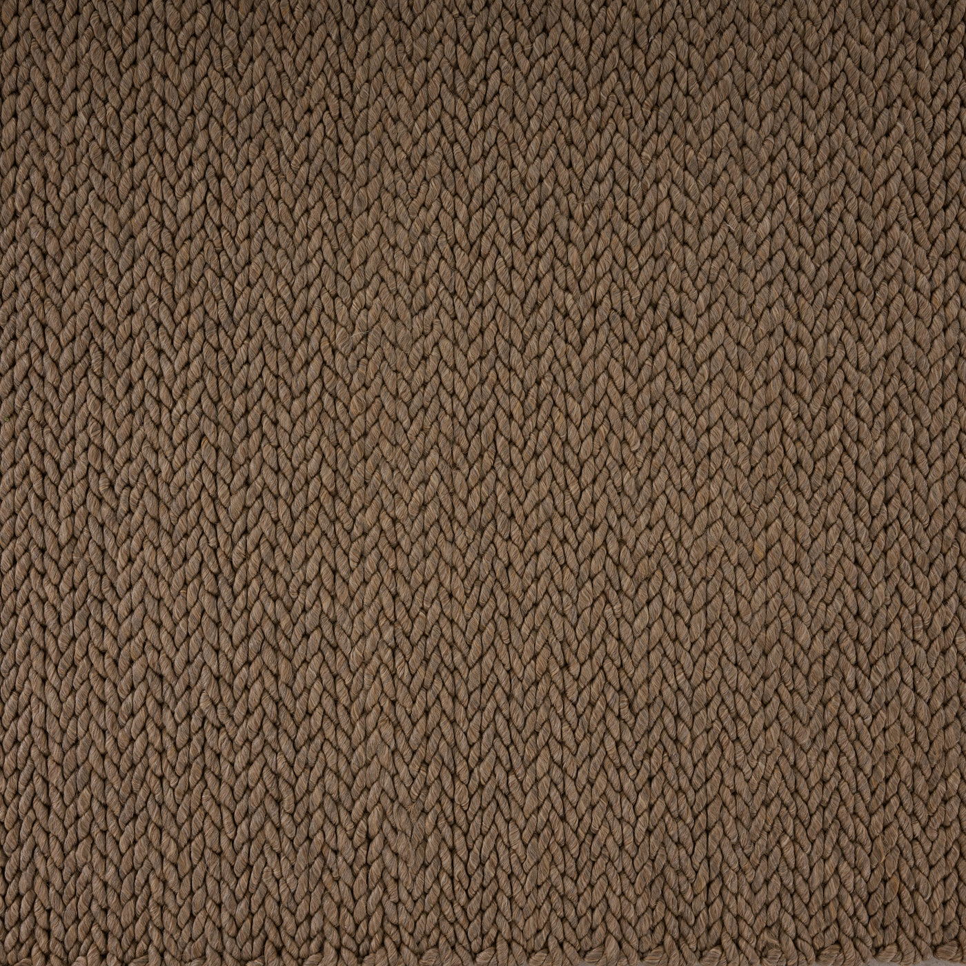 coconut-wj-100445