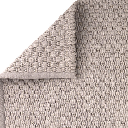 starfish-brown-wj-100446