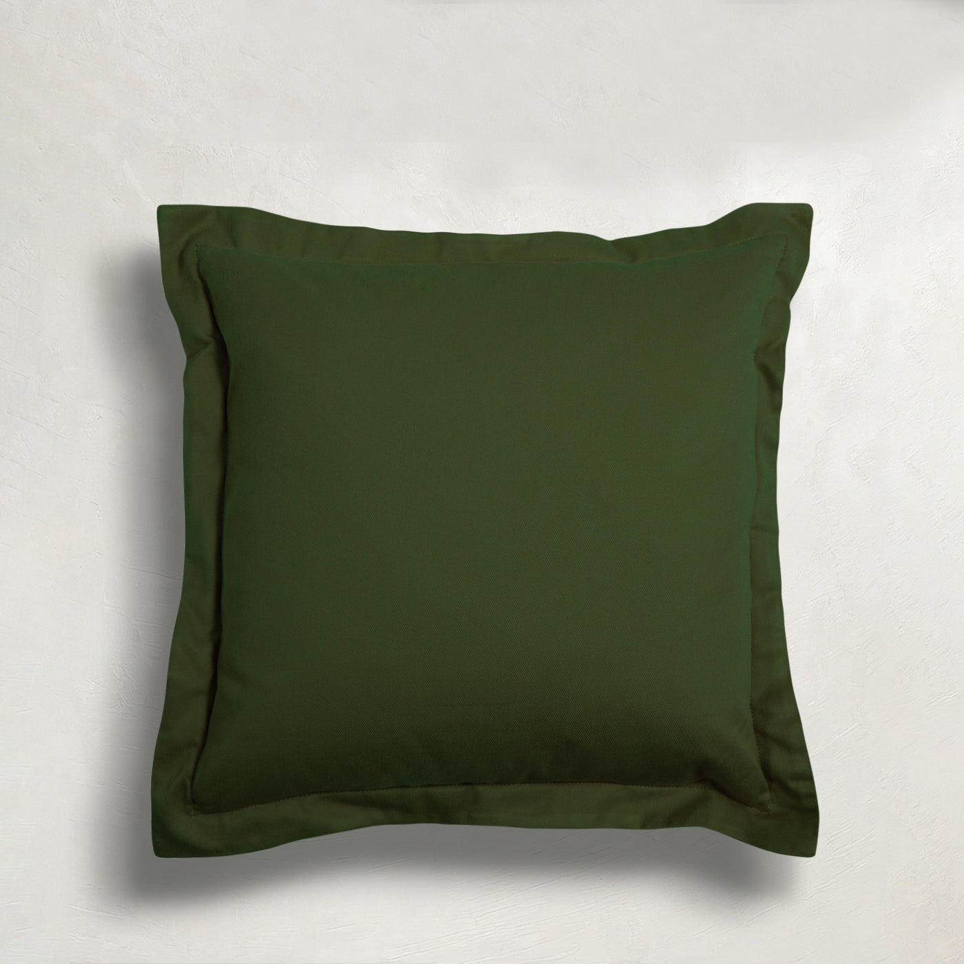 forest-wj-100249