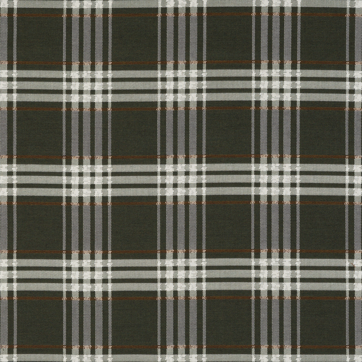 Pacific Plaid Forest