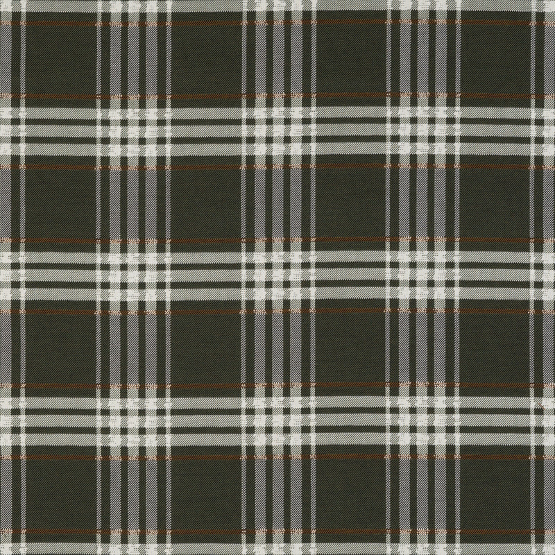 Pacific Plaid Forest