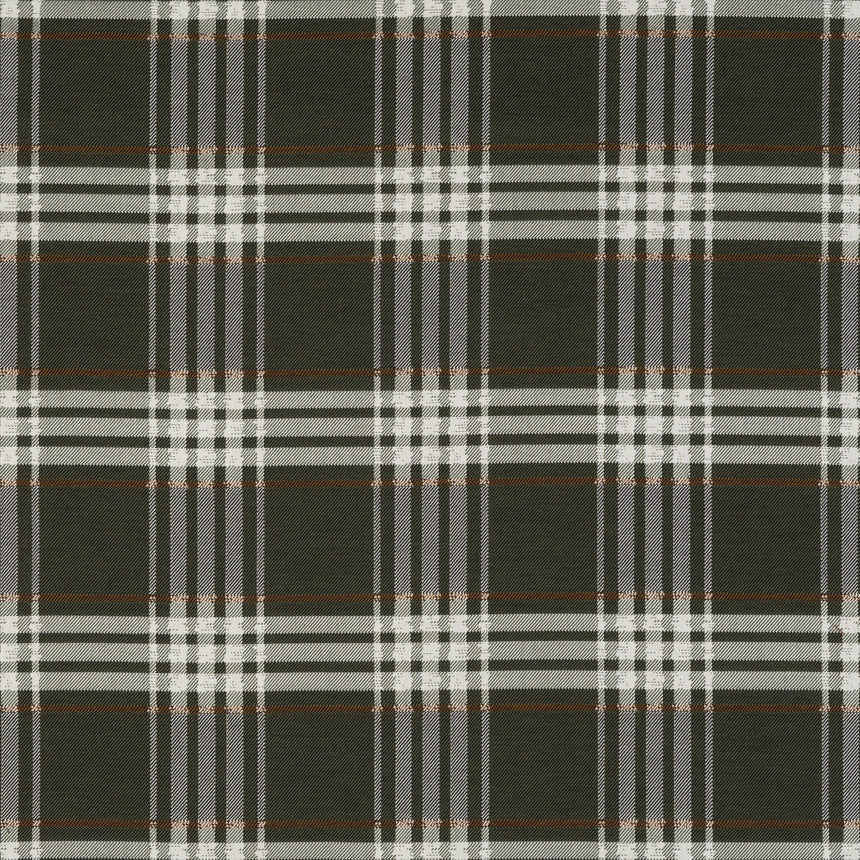 Pacific Plaid Forest
