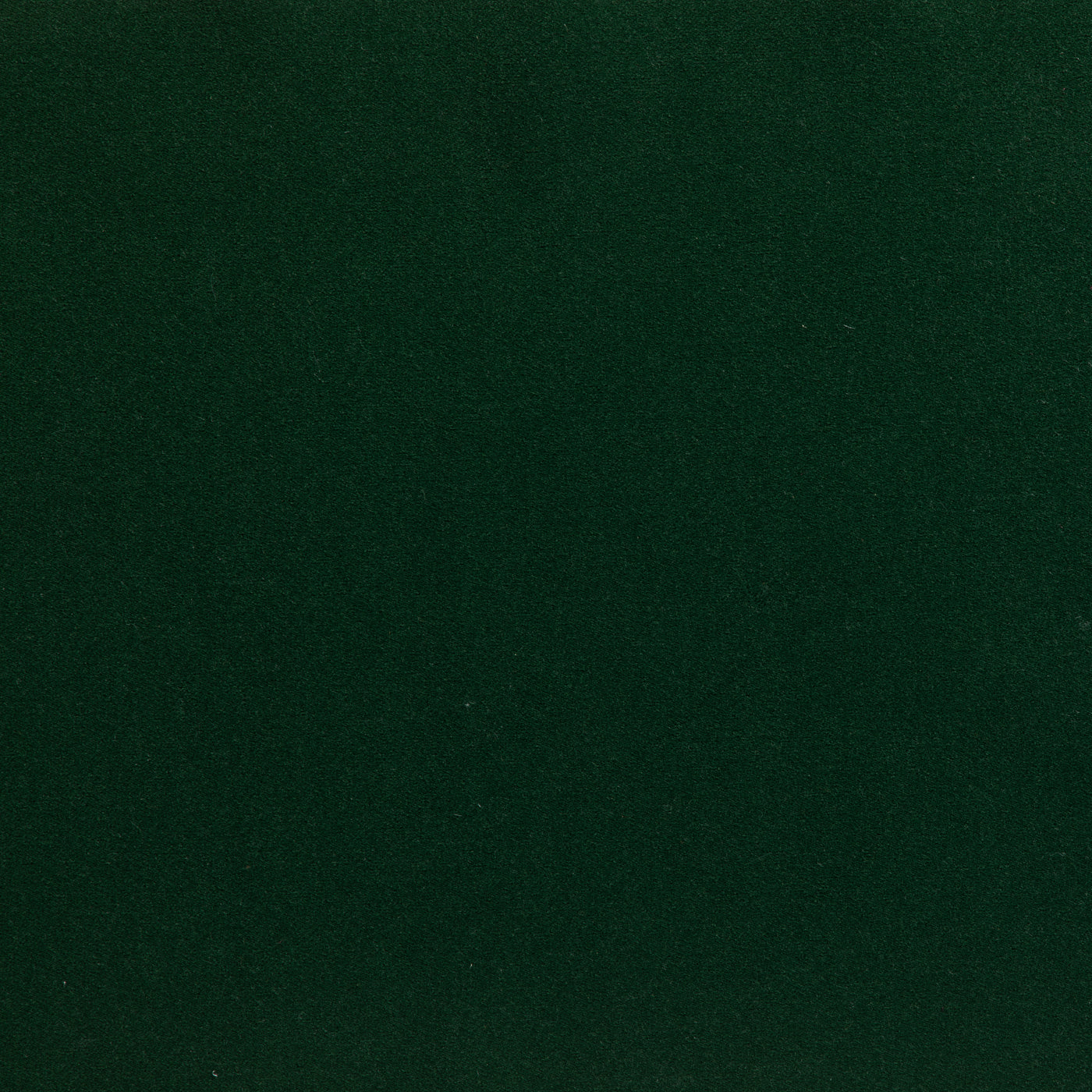 Endure Velvet Forest