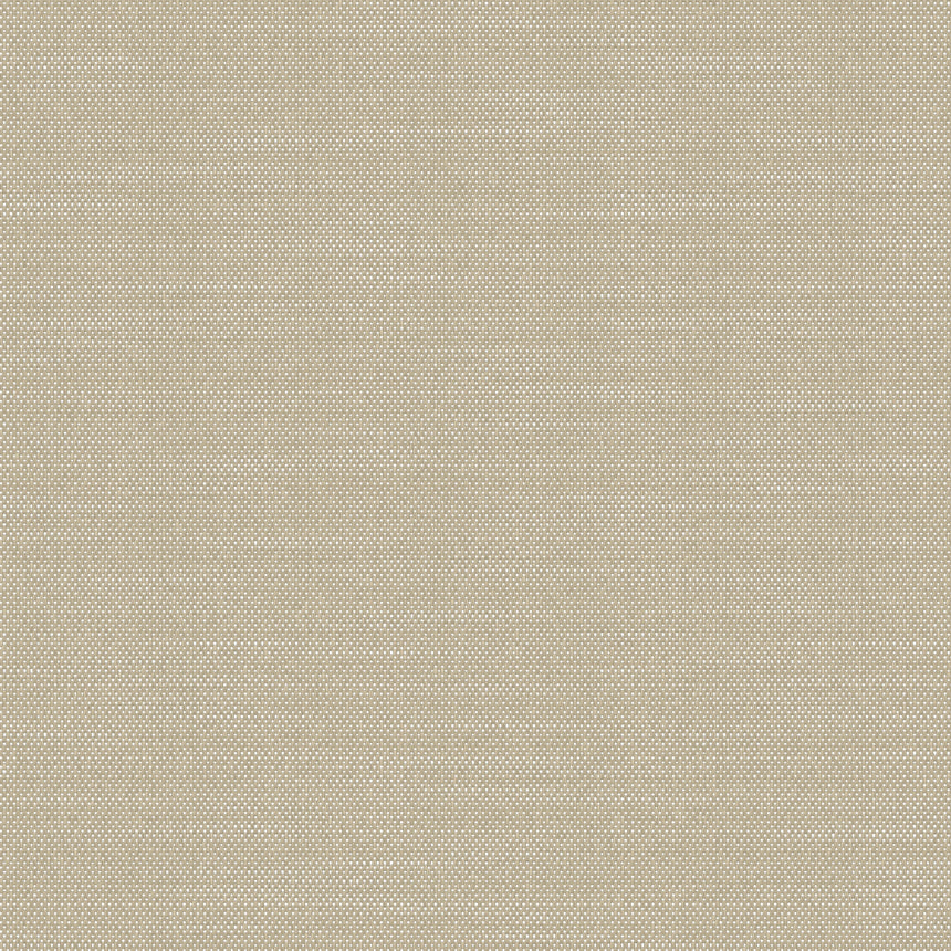 Everyday Sand