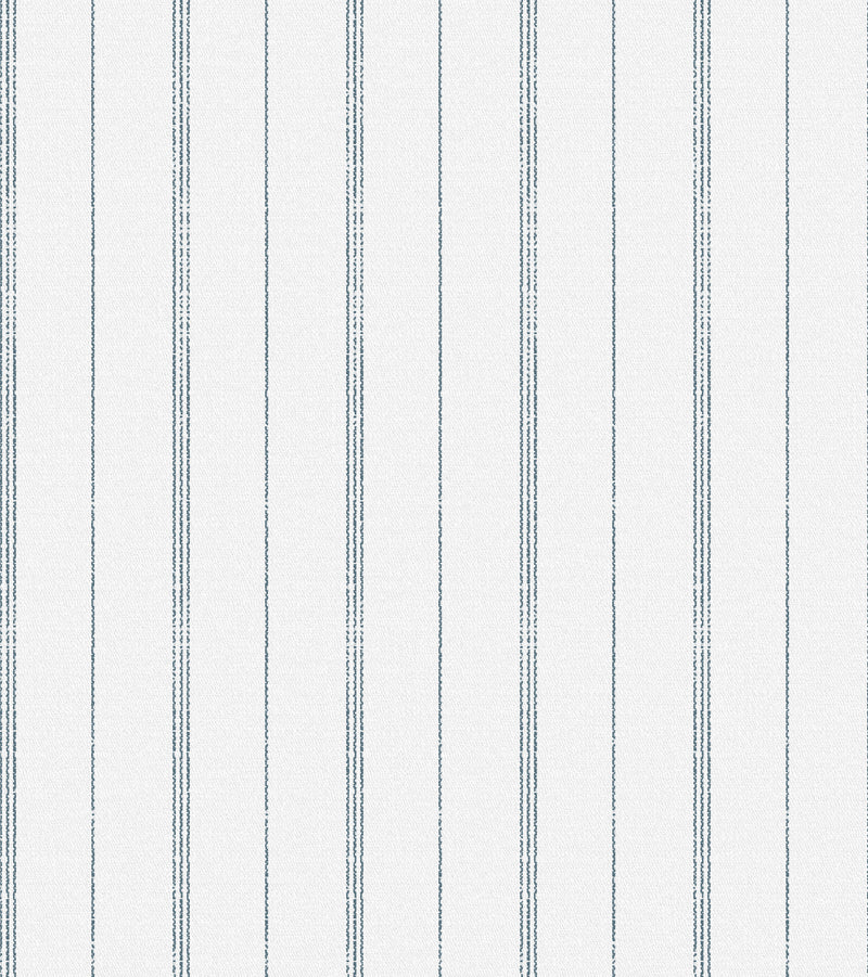 French Stripe Chambray