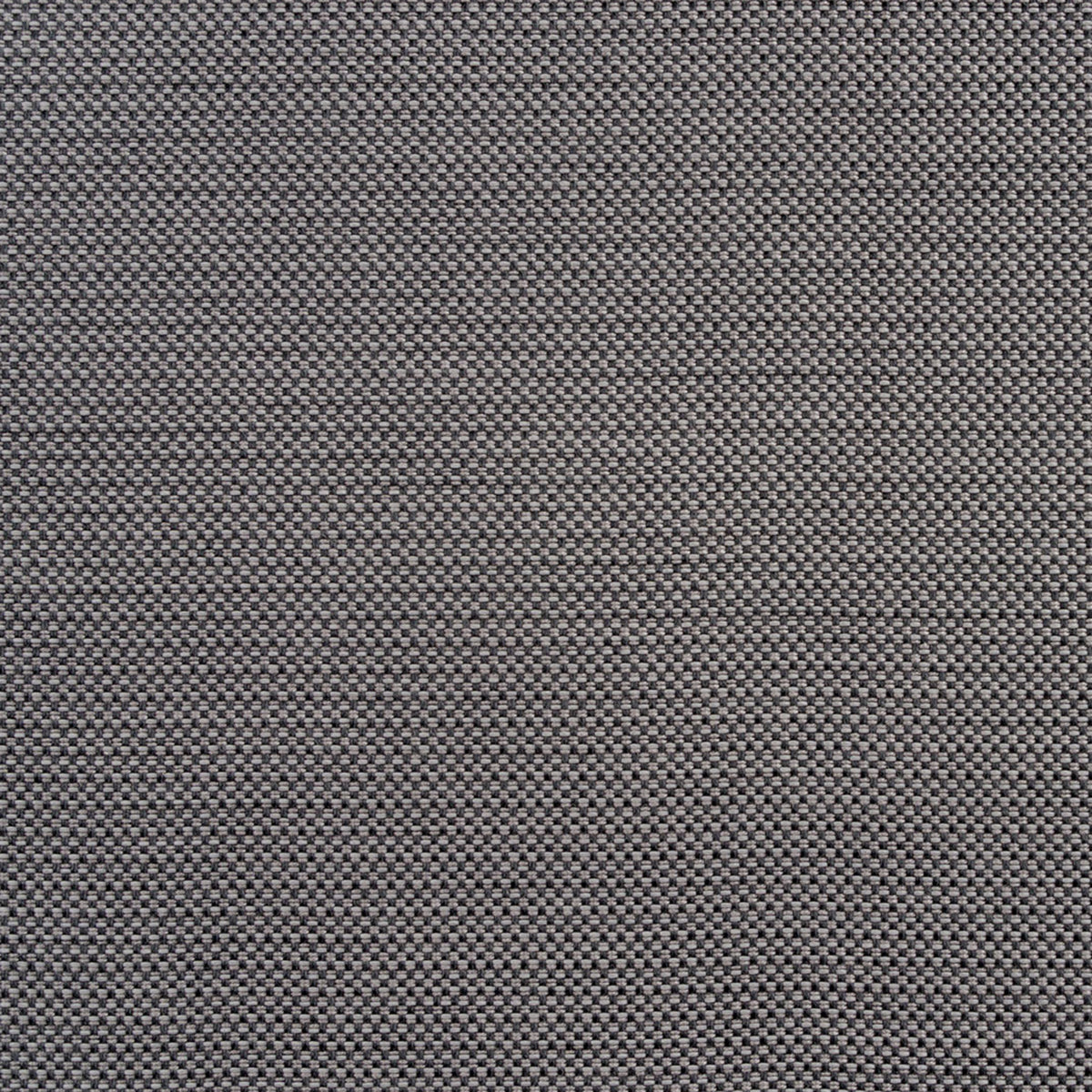 Checker Midnight