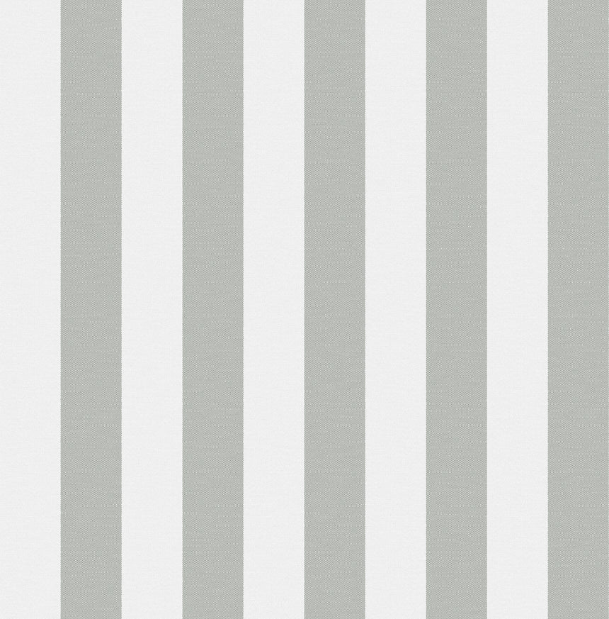Cabana Stripe Silver