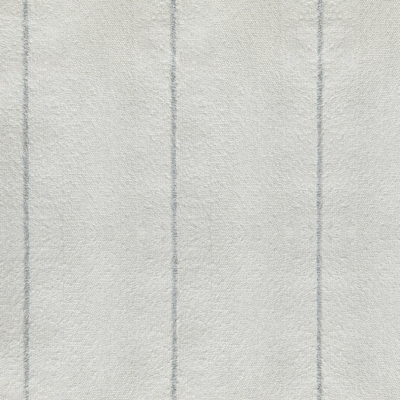 Caviar Stripe Chambray